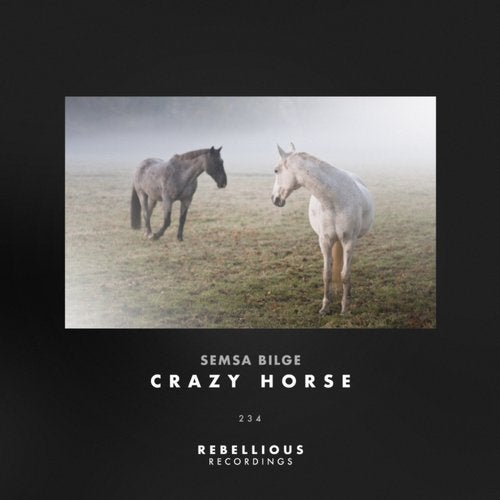 image cover: Semsa Bilge - Crazy Horse / RBD234