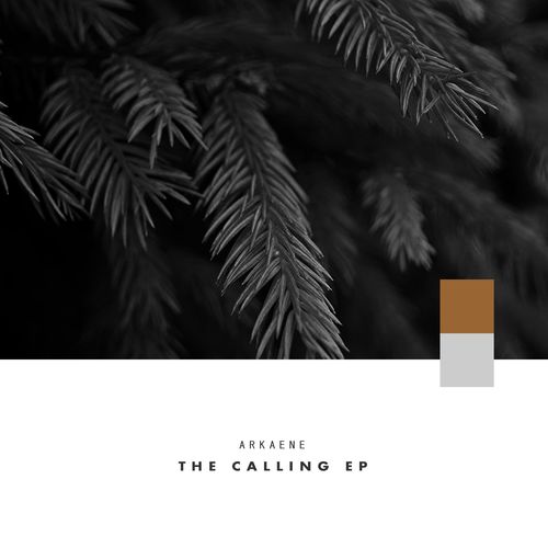image cover: Arkaene - The Calling