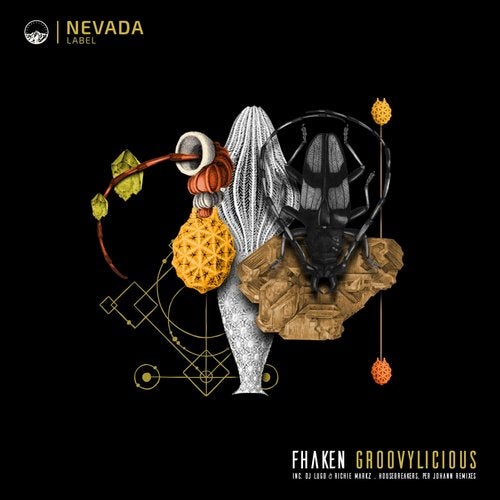 image cover: Fhaken - Groovylicious / NEV013