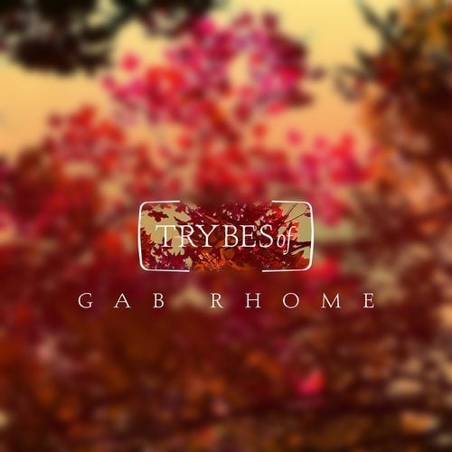 image cover: Gab Rhome - Hexagon Earth Theorists / TRY010