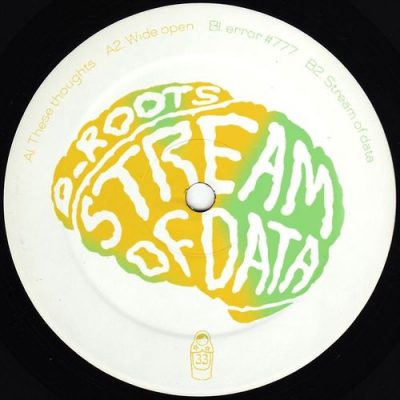 101251 346 09133663 D_Roots - Stream of Data EP / Dolly