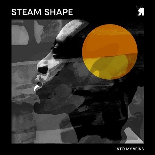 image cover: Steam Shape - Into My Veins / RSPKT175
