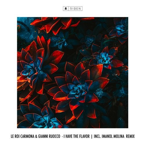 image cover: Gianni Ruocco, Le Roi Carmona - I Have The Flavor / RBN00140