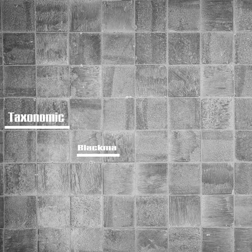 image cover: Taxonomic - Blackma / Looking to Jack Music