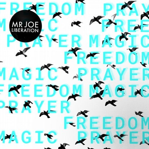 image cover: Mr Joe - Liberation / GPM547