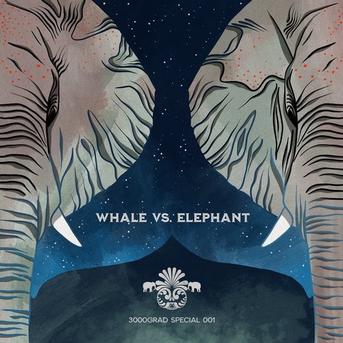 image cover: Whale vs. Elephant - Lighthouse / 3000SPECIAL001