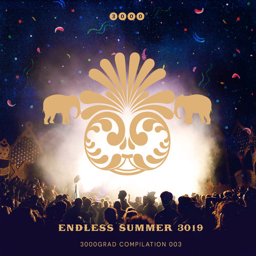 image cover: Various Artists - Endless Summer 3019 / 3000° Grad