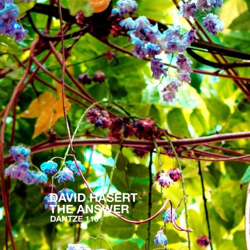 image cover: David Hasert - The Answer / DTZ110