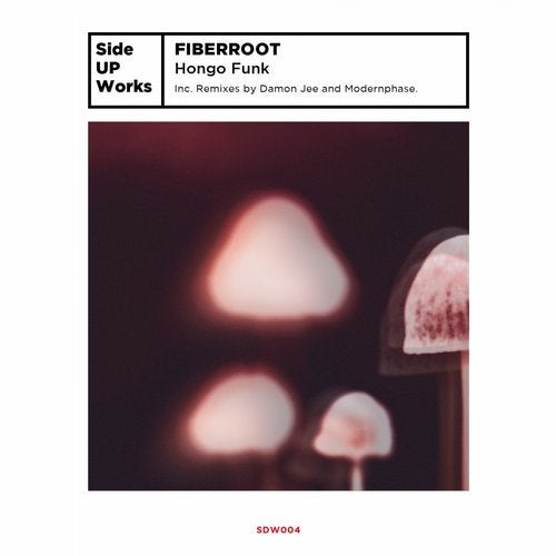 image cover: Fiberroot - Hongo Funk / SUW004