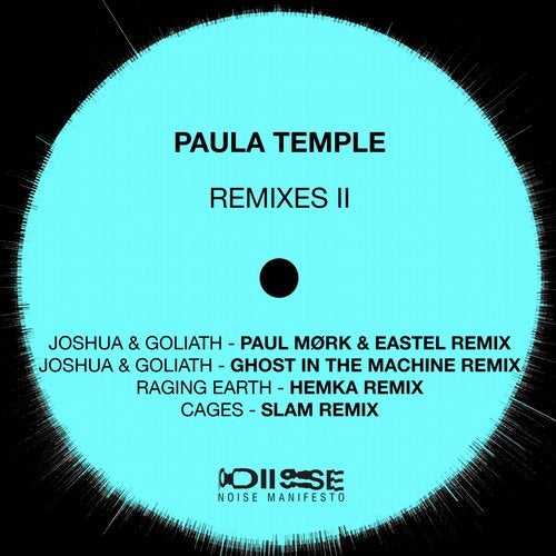 image cover: Paula Temple - Edge Of Everything Remixes 2 / NM011