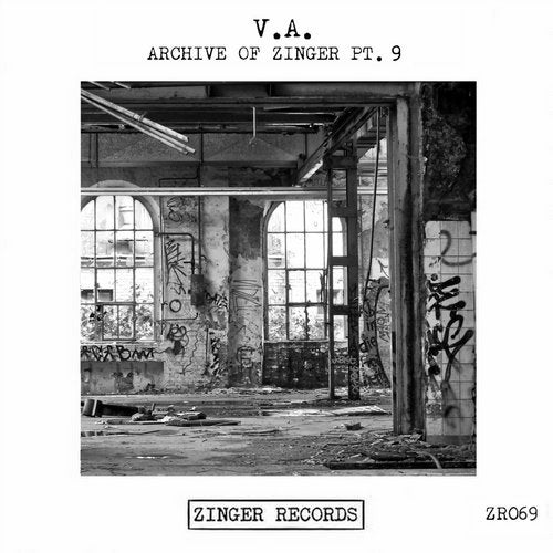 image cover: VA - Archive Of Zinger, Pt. 9 / ZR069