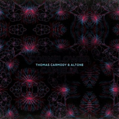 1051 346 65099 Thomas Carmody, Altone - Cornflower and Camellia / CTR123