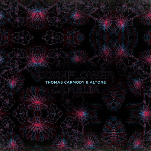 image cover: Thomas Carmody, Altone - Cornflower and Camellia / CTR123