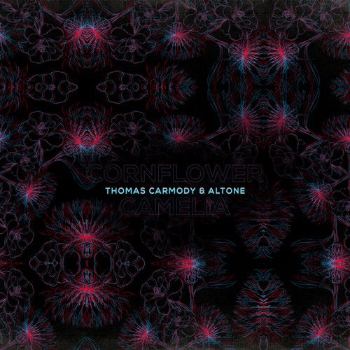 Download Thomas Carmody, Altone - Cornflower and Camellia on Electrobuzz