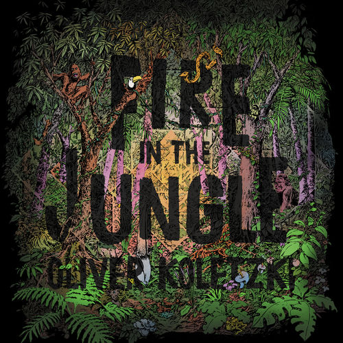 image cover: Oliver Koletzki - Fire in the Jungle / Stil Vor Talent Records