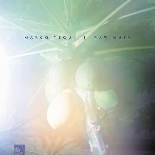 image cover: Marco Tegui - Marco Tegui / Raw Main / Stil Vor Talent Records