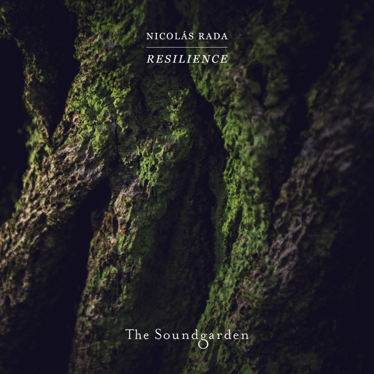 image cover: Nicolas Rada - Resilience / The Soundgarden