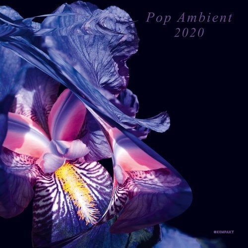 image cover: VA - Pop Ambient 2020 / Kompakt