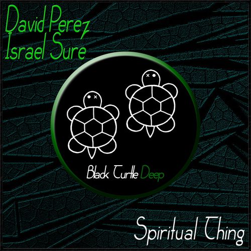 image cover: David Perez - Spiritual Thing / Black Turtle Deep
