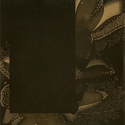 121251 346 091122084 Raresh - Vivaltu Remixes LP / [a:rpia:r]
