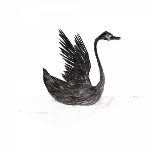 image cover: Wedge - Black Swan / Fox & Hound Recordings