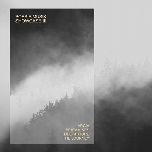 image cover: VA - Poesie Musik Showcase, Vol. 3 / Poesie Musik