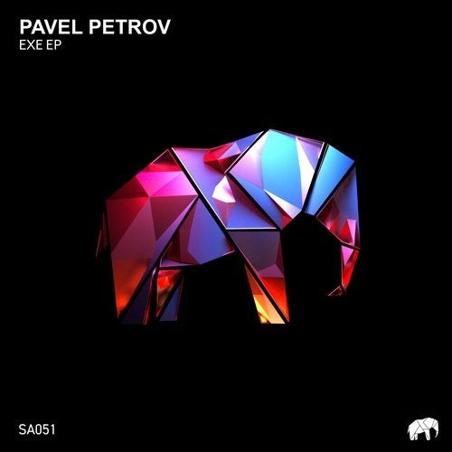image cover: Pavel Petrov - EXE / Set About