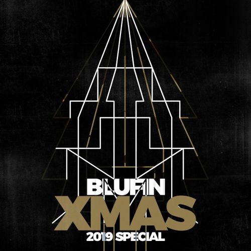 image cover: Various Artists - Xmas Special 2019 / Blu Fin Records