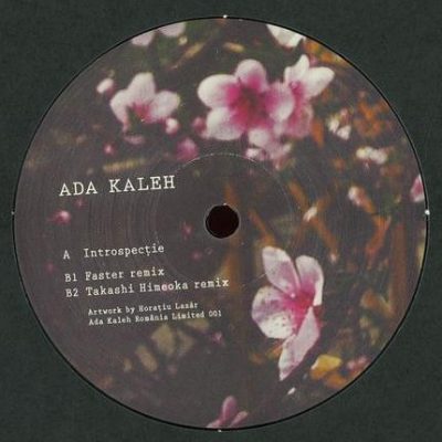 121251 346 09137586 Ada Kaleh - Introspecție / Ada Kaleh Romania