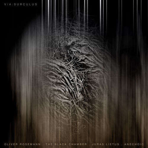 image cover: Various Artists - Surculus / Konsequent Records