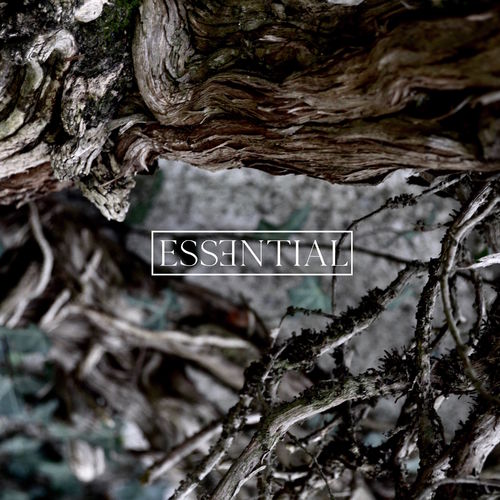 image cover: Alexander Johansson - ESSENTIAL 012 / Methodical