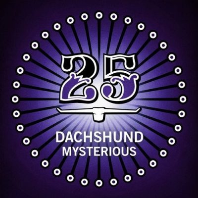121251 346 09177008 Dachshund - Mysterious / Bar 25 Music