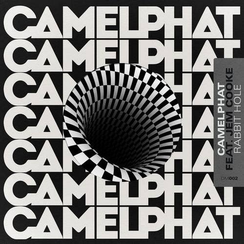 image cover: CamelPhat, Jem Cooke - Rabbit Hole / RCA Records Label