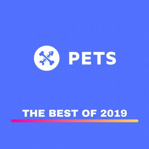 Download THE BEST OF 2019 on Electrobuzz