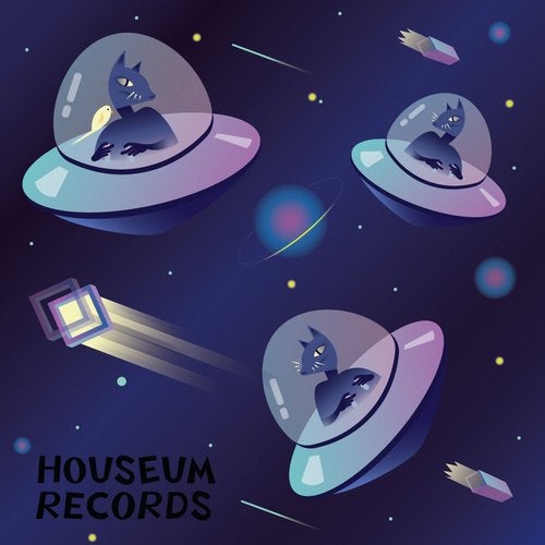 image cover: Astro, Sunfleur, Harrison BDP, Aemone - Caturne V / Houseum Records
