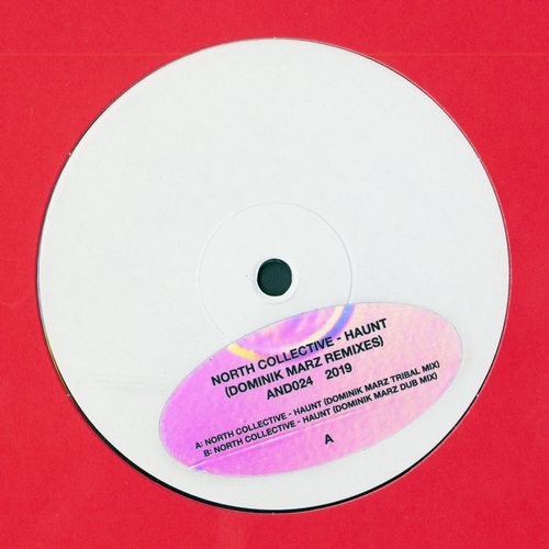 image cover: Dominik Marz, North Collective - Haunt (Dominik Marz Remixes) / andmusic