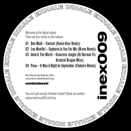 image cover: Various Artists - InEx009 V/A Remix EP / Inhale Exhale