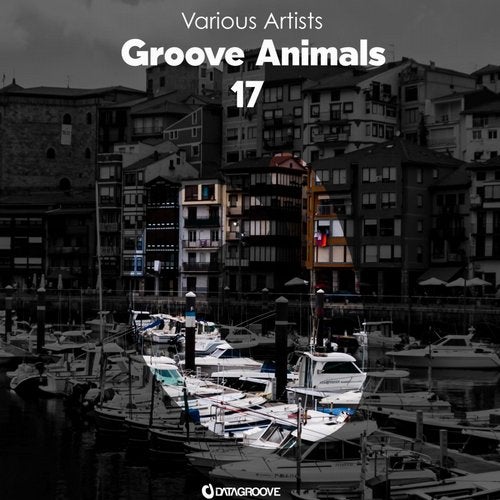 image cover: VA - Groove Animals 17 / Datagroove Music