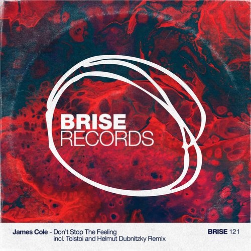 image cover: James Cole - Don't Stop This Feeling / Brise Records