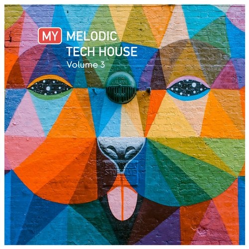 image cover: VA - My Melodic Tech House, Vol. 3 / Push Communications