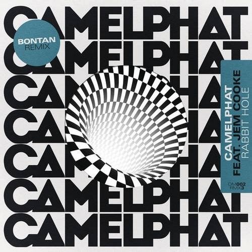 image cover: CamelPhat, Jem Cooke - Rabbit Hole (Bontan Remix) / RCA Records Label