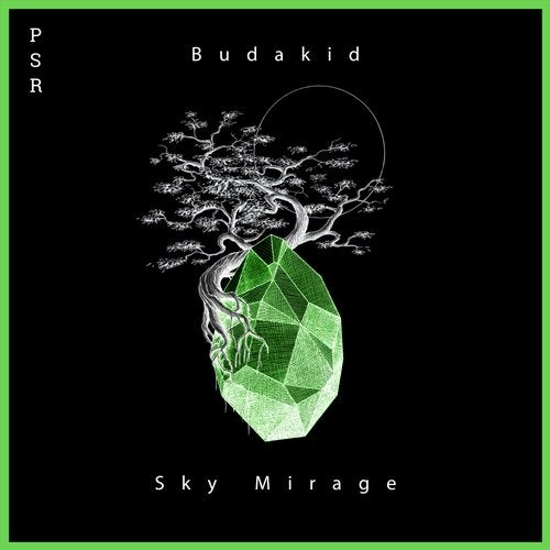 image cover: Budakid - Sky Mirage EP / Plaisirs Sonores Records