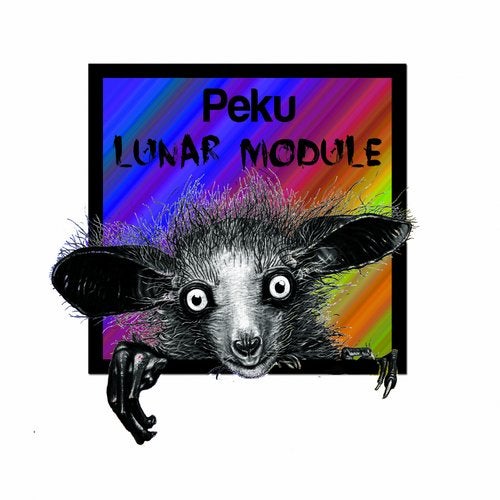 image cover: Peku - Lunar Module / Creepy Finger