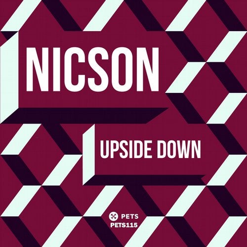 image cover: Nicson - Upside Down / Pets Recordings