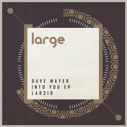 image cover: Dave Mayer - Into You EP / Large Music