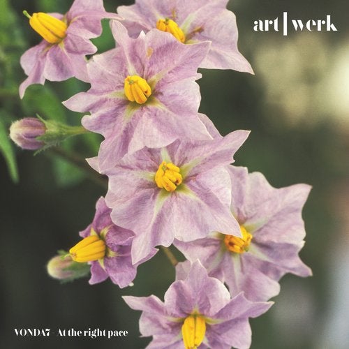 image cover: VONDA7 - At the right pace / art | werk