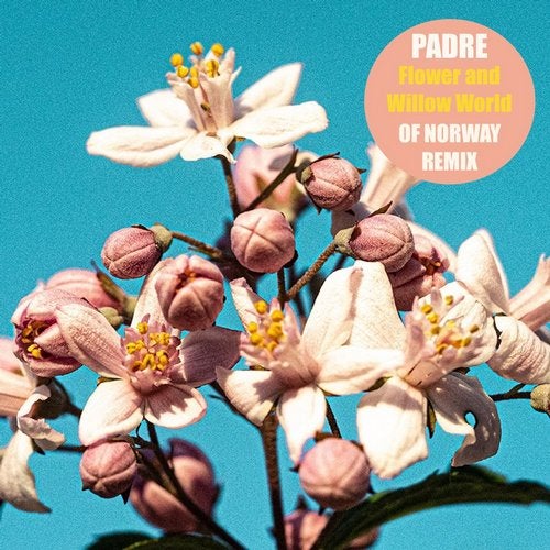 image cover: Padre - Flower And Willow World (Of Norway Version) / Connaisseur Recordings