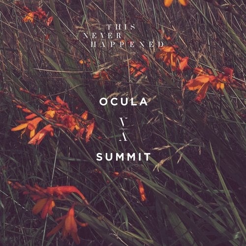 image cover: OCULA - Summit / This Never Happened