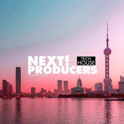 image cover: VA - Next! Producers, Vol. 4 / Tronic Soundz