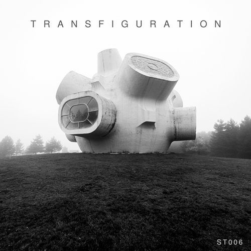 image cover: VA - Transfiguration VA / Space Travel Records